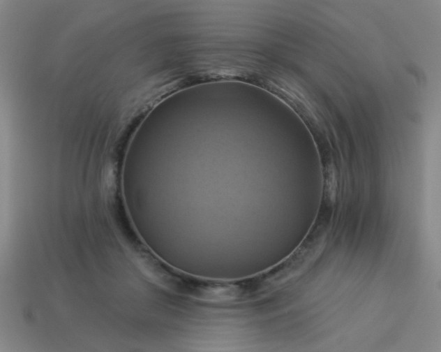 X0000114100410200910191646