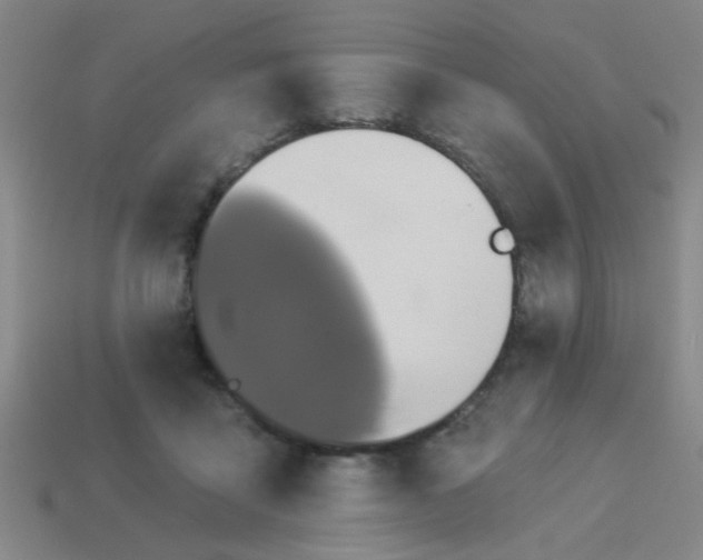 X0000114100411200910191646