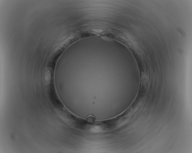 X0000114100412200910191646