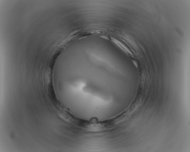 X0000114100413200910191646