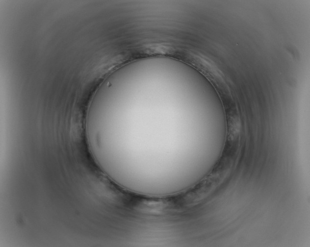 X0000114100414200910191646