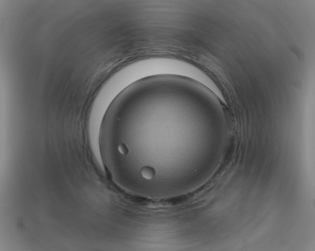 X0000114100415200910191646