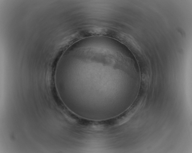 X0000114100416200910191646