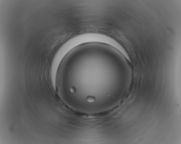 X0000114100419200910191646