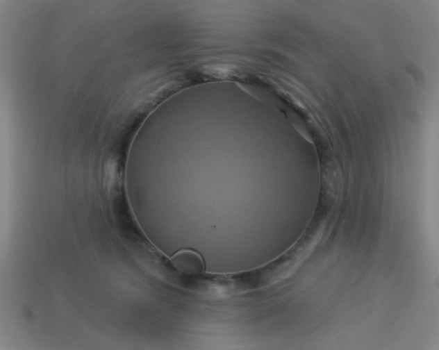 X0000114100420200910191646