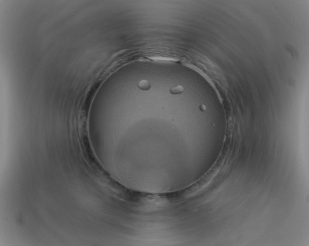 X0000114100421200910191646