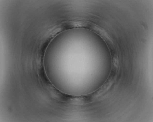 X0000114100422200910191646