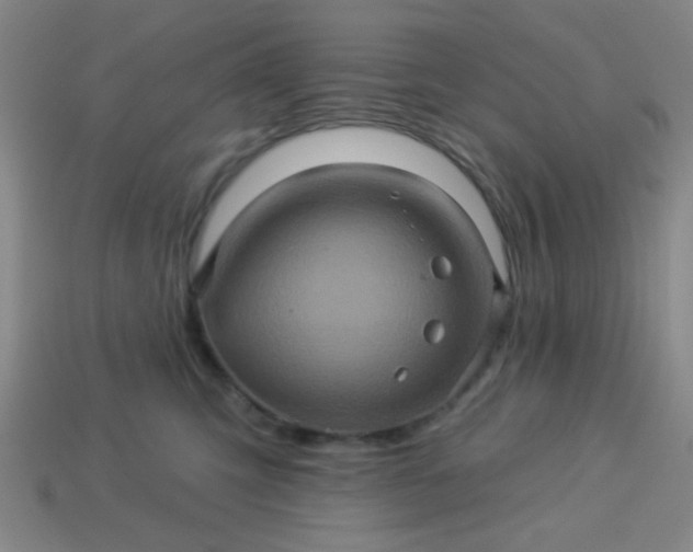 X0000114100423200910191646