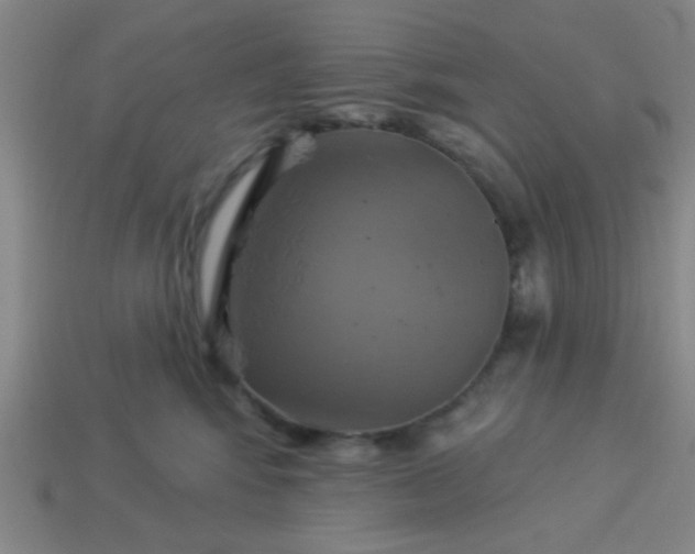 X0000114100424200910191646