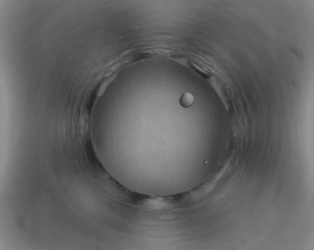 X0000114100425200910191646