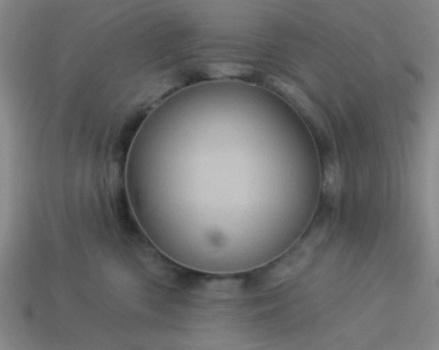 X0000114100426200910191646