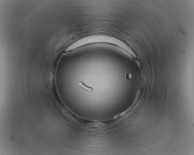 X0000114100427200910191646