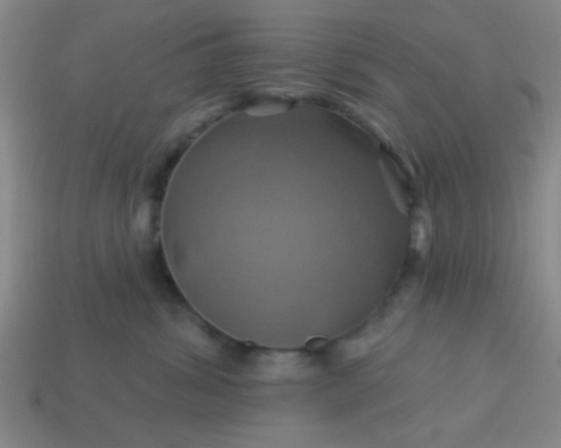 X0000114100428200910191646