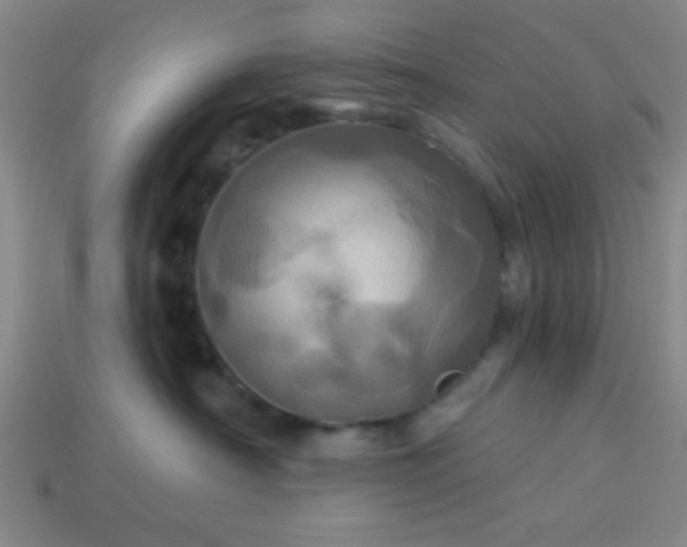 X0000114100430200910191646