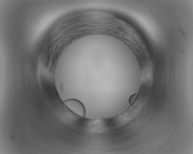 X0000114100431200910191646