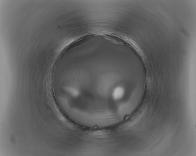 X0000114100433200910191645