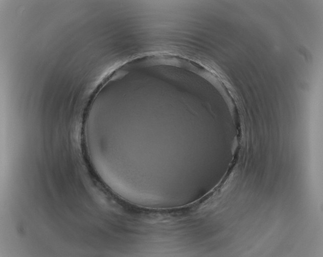 X0000114100434200910191645