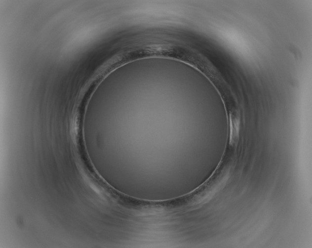 X0000114100435200910191645