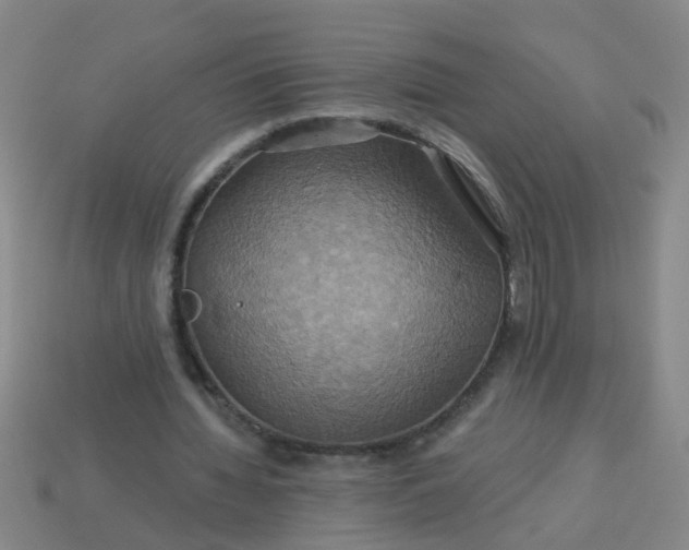 X0000114100436200910191645