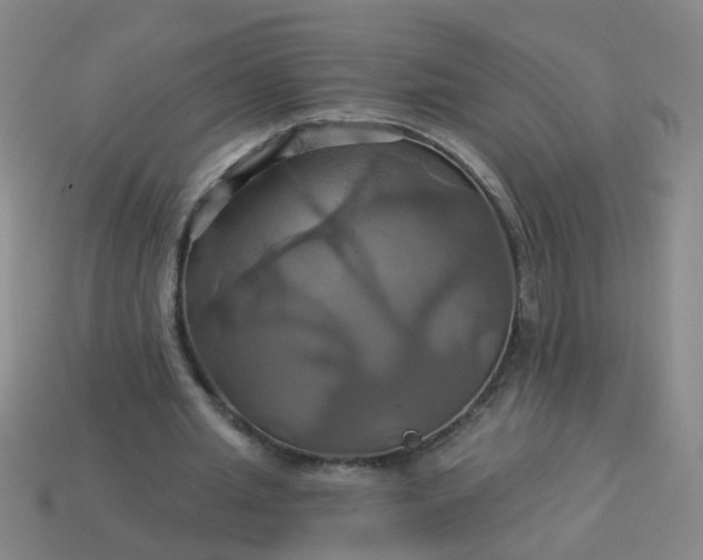 X0000114100437200910191645