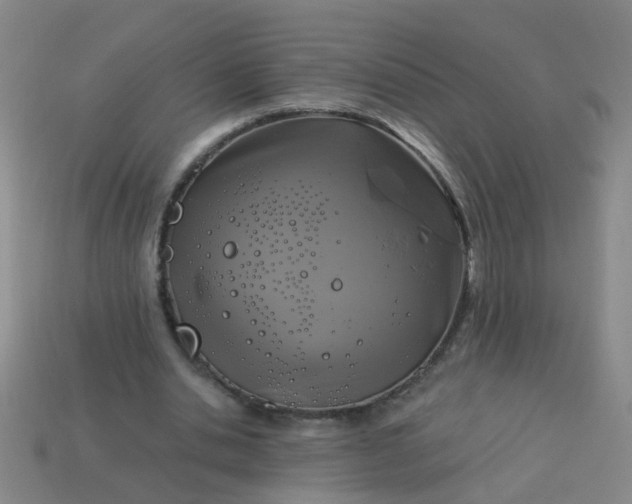 X0000114100438200910191645