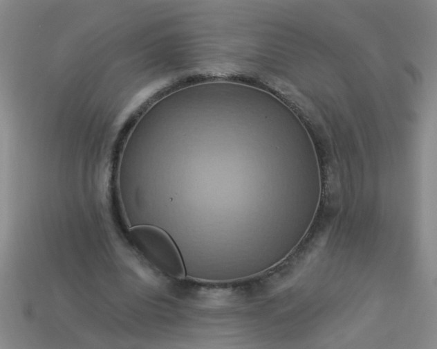 X0000114100440200910191645