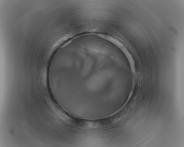 X0000114100442200910191645