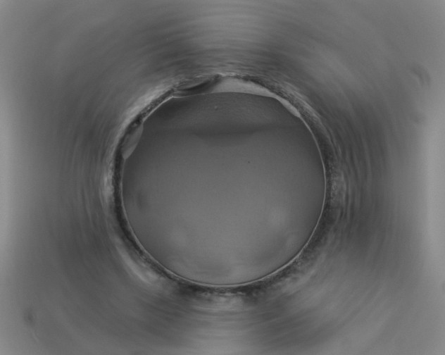 X0000114100443200910191645