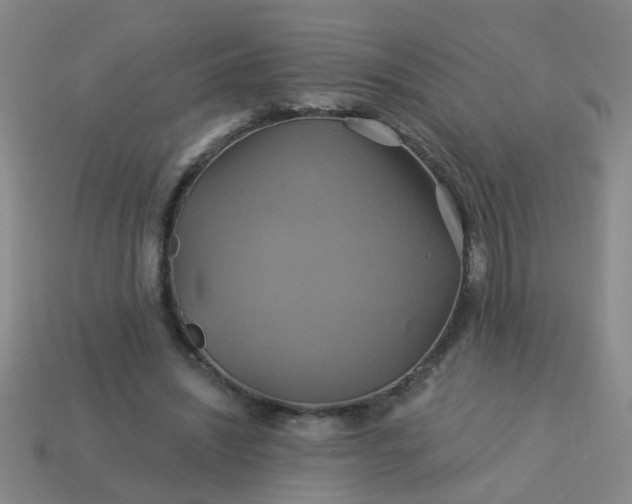 X0000114100444200910191645