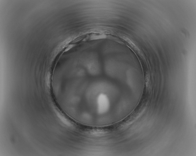 X0000114100445200910191645