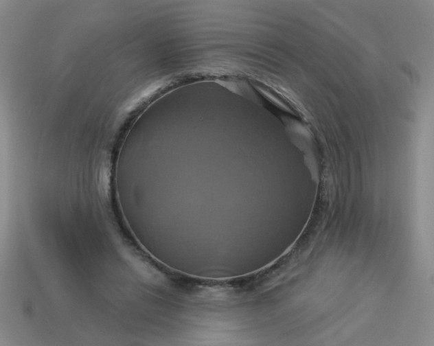 X0000114100446200910191645