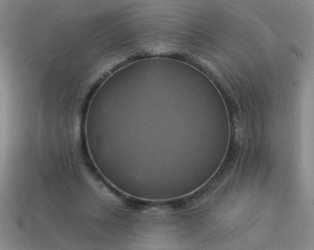 X0000114100447200910191645