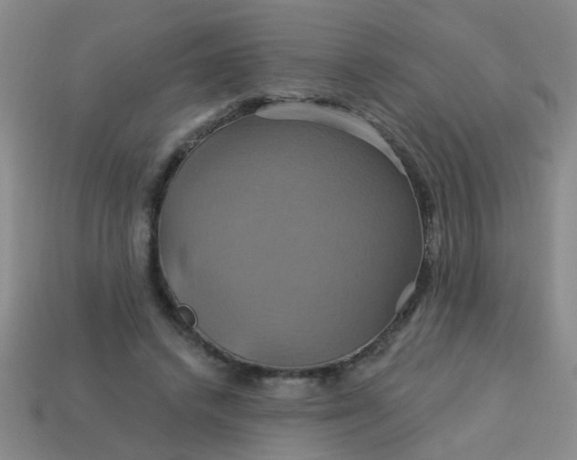 X0000114100448200910191645