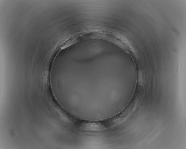 X0000114100449200910191645