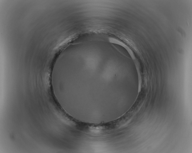 X0000114100450200910191645