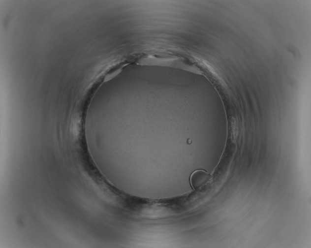 X0000114100451200910191645