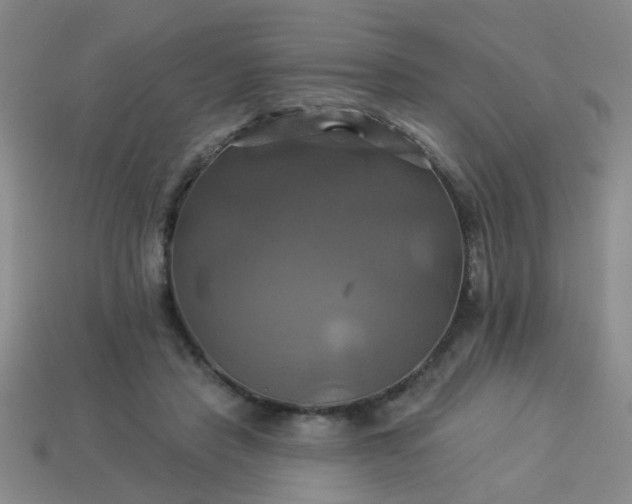 X0000114100453200910191645