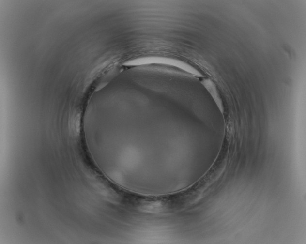 X0000114100454200910191645