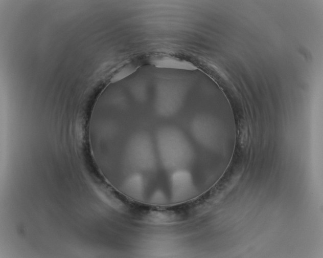 X0000114100455200910191645