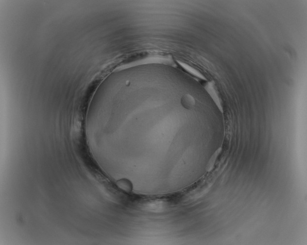 X0000114100456200910191645