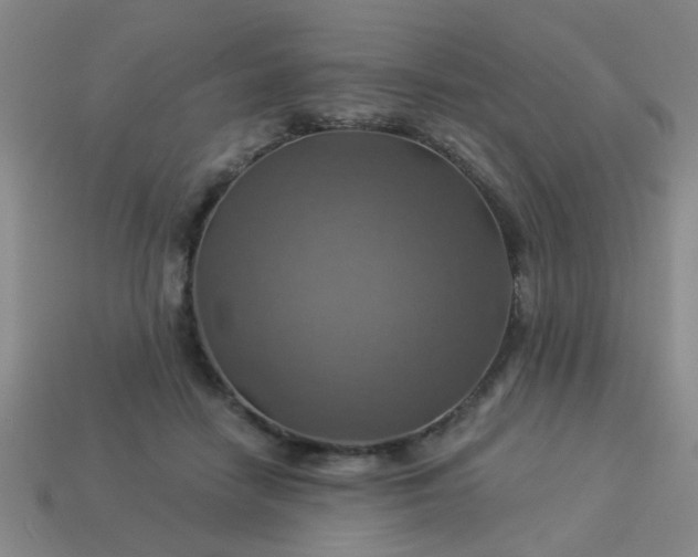 X0000114100458200910191645