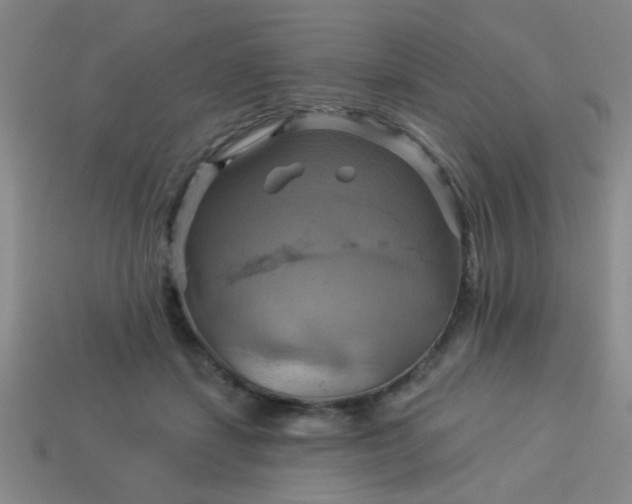 X0000114100459200910191645