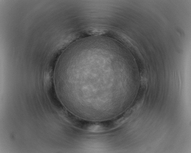 X0000114100460200910191645