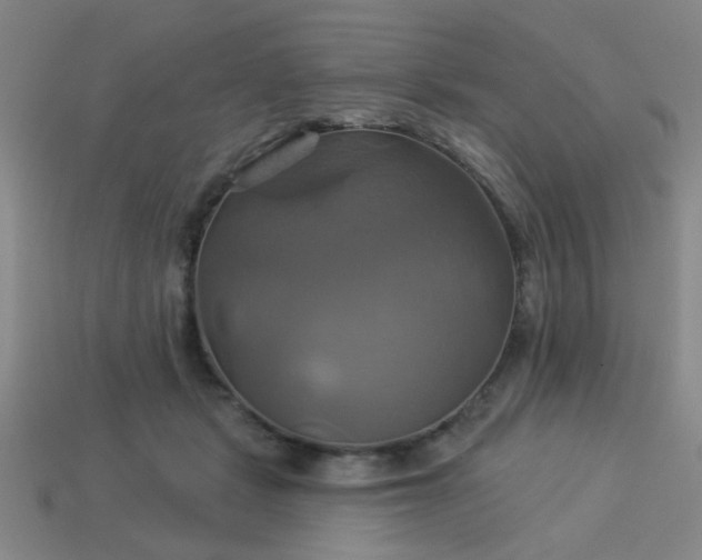 X0000114100461200910191645