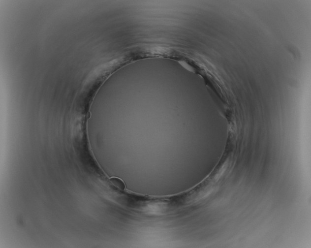 X0000114100462200910191645