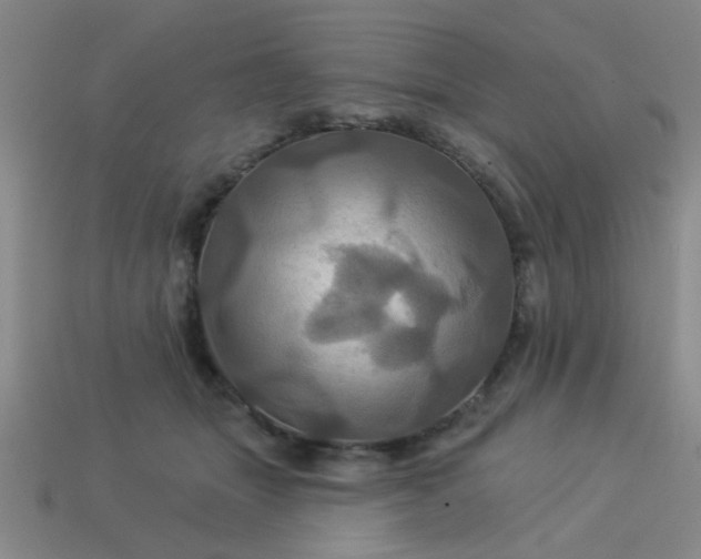 X0000114100463200910191645