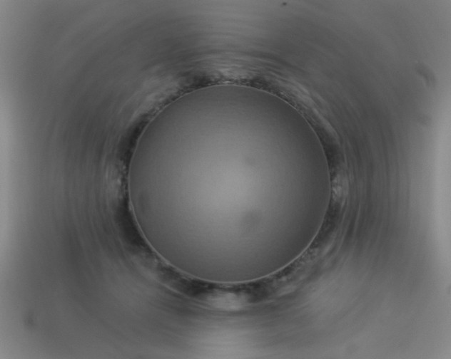 X0000114100464200910191645