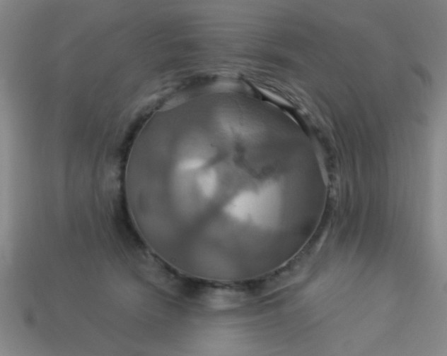 X0000114100466200910191646