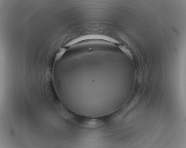 X0000114100467200910191646