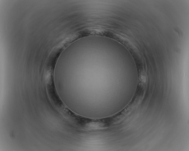 X0000114100468200910191646